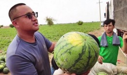 体育圈的瓜是什么意思 今日吃瓜热门大瓜每日更新,每日热门大瓜，吃瓜群众必看！